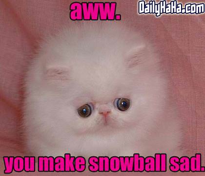 Snowball Sad