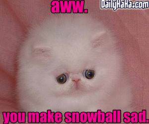 Snowball Sad