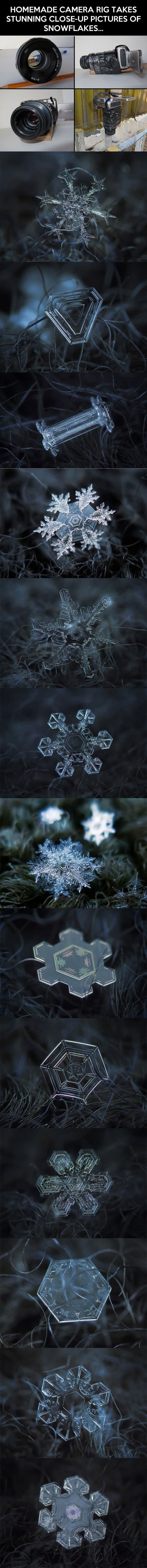 Captured Snowflakes funny picture