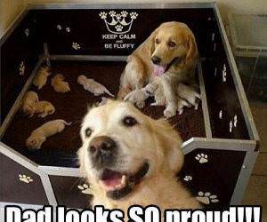 so proud funny picture