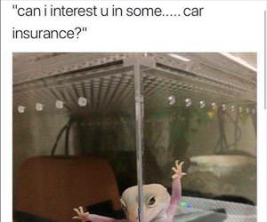 some car insurance
