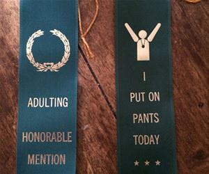 some award ribbons funny picture