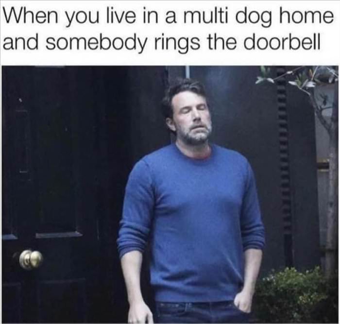 someone rings the doorbell