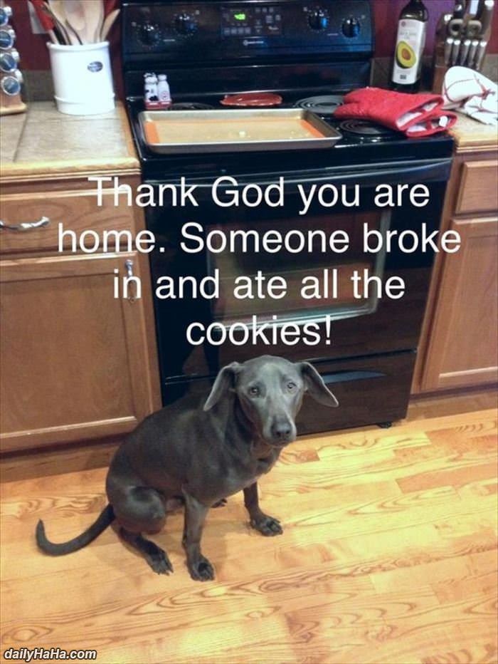 and ate all the cookies funny picture
