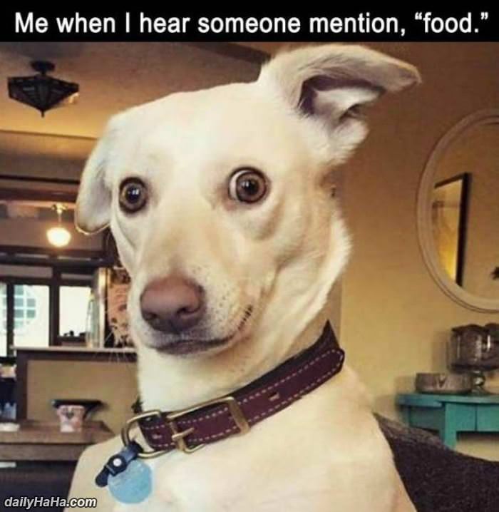 someone mentioned food funny picture