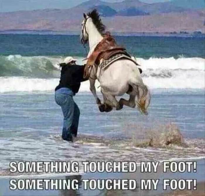 something touched my foot