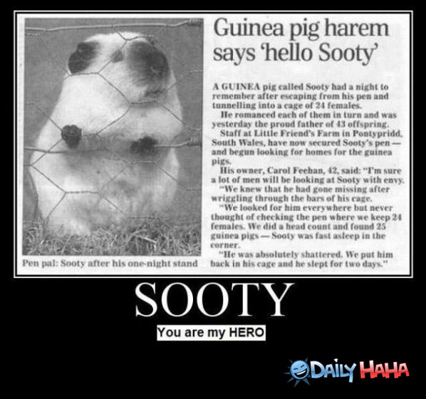 Sooty funny picture