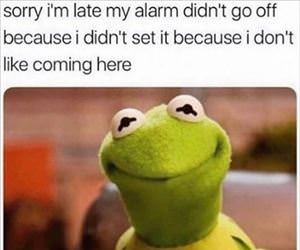 sorry about my alarm