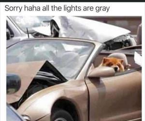 sorry all the lights are grey