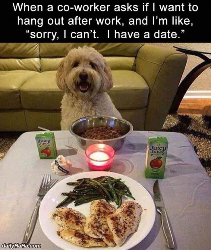 sorry i have a date funny picture