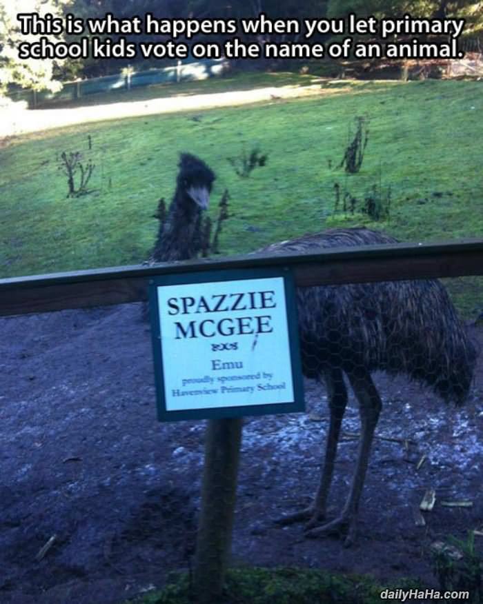 spazzie funny picture