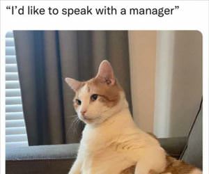speak to the manager ... 2