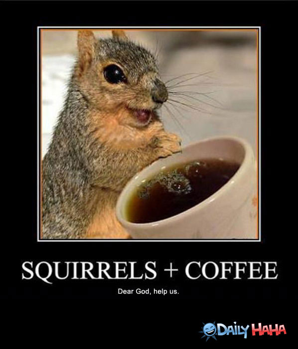 squirrels-and-coffee.jpg