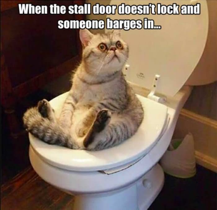 stall door has no lock funny picture