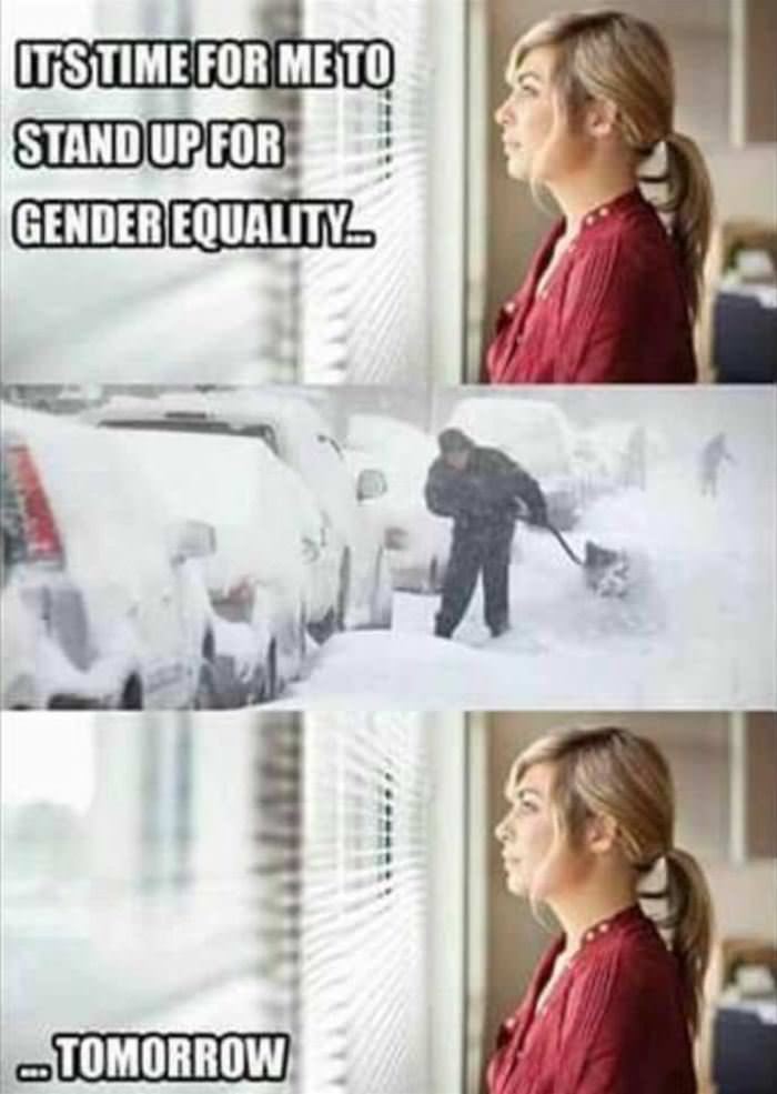 stand up for gender equality funny picture