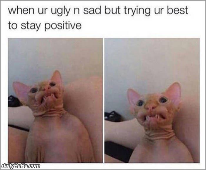 stay positive funny picture