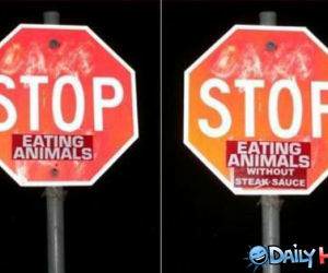 Stop Eating Animals funny picture