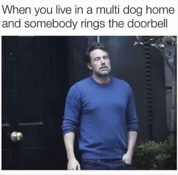 stop ringing the doorbell
