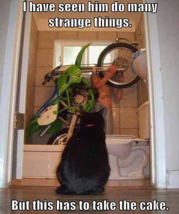 Strange Things funny picture