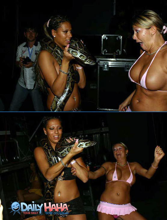 Strippers Love Snakes