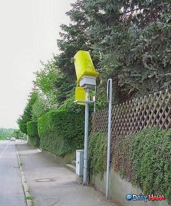 Stupid Traffic Camera