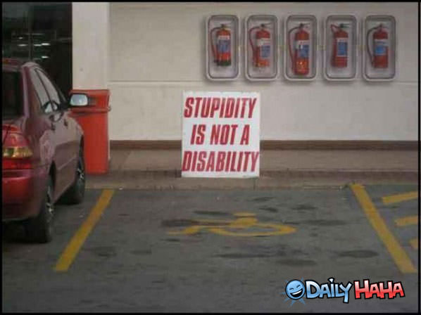 Stupidity funny picture