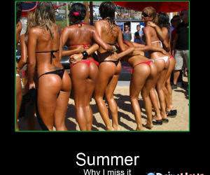 Summer Is Missed funny picture