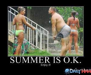 Summer Is Ok funny picture