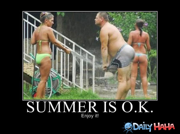 Summer Is Ok funny picture