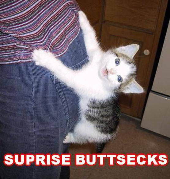 surprise_buttsecks.jpg