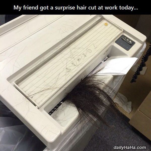 surprise hair cut funny picture