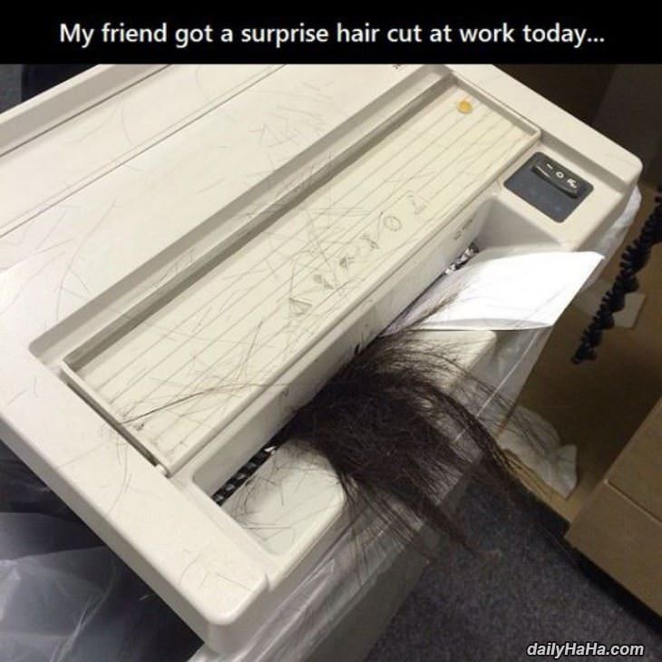 surprise_hair_cut4049.jpg
