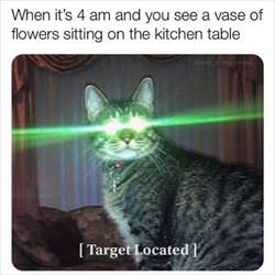 target located