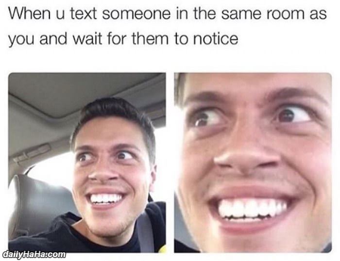 text someone in the same room as you funny picture