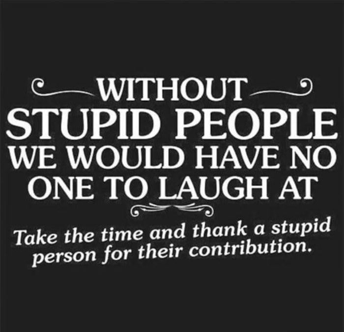 thank a stupid person funny picture