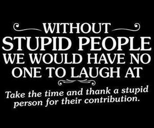 thank a stupid person today funny picture