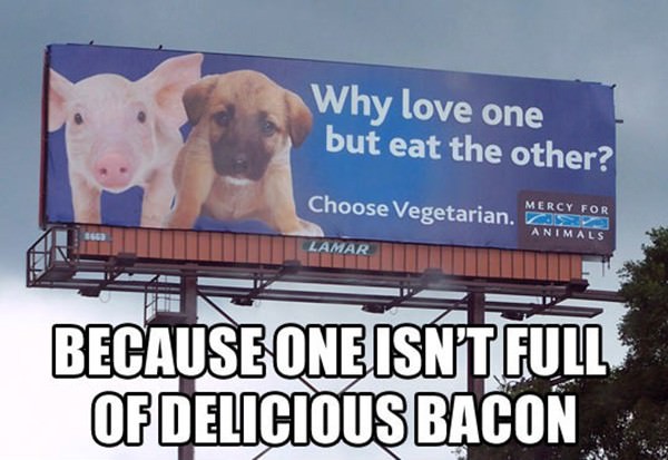 Bacon Love Thats Why funny picture