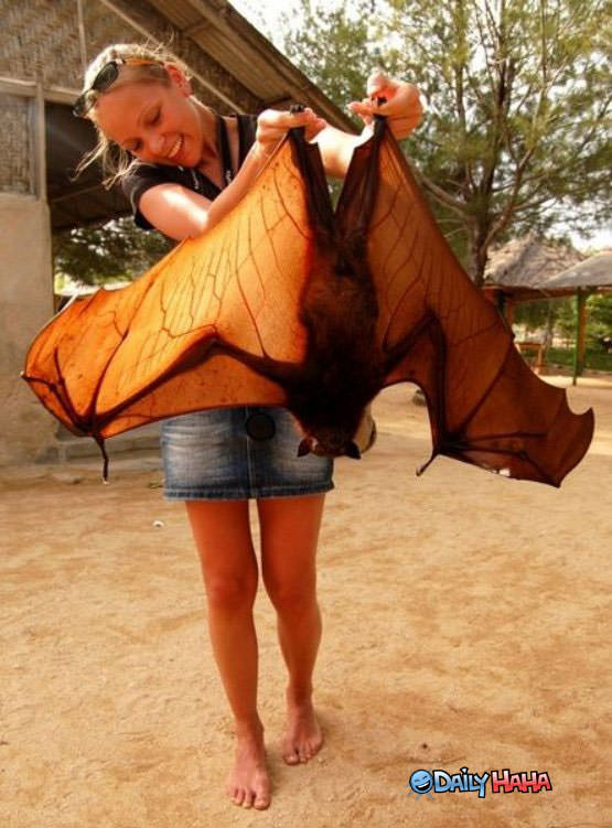 thats a HUGE bat
