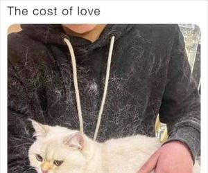 the cost of love