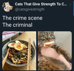 the criminal