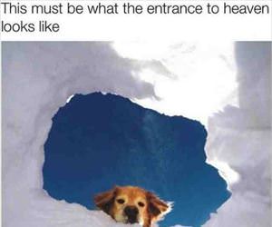 the entrance to heaven ... 2