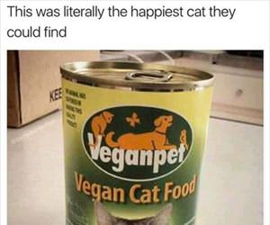 the happiest cat they could find