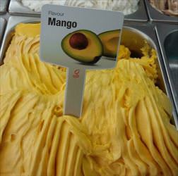 the mango