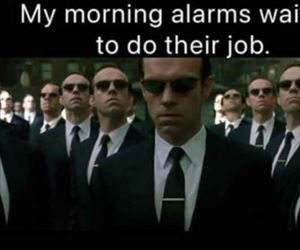 the morning alarms