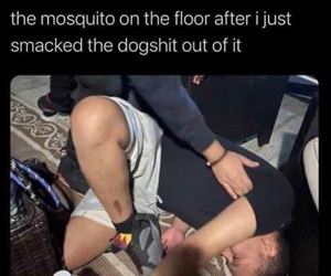 the mosquito on the floor