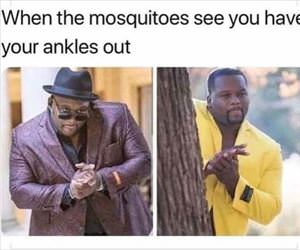 the mosquito sees it