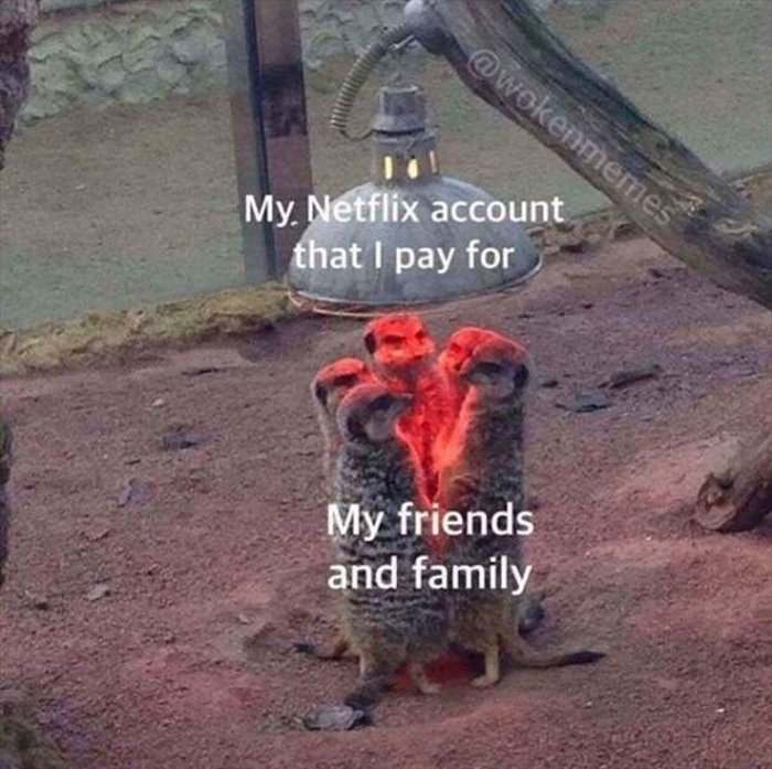 the one i pay for