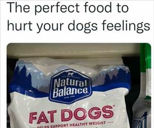 the perfect food