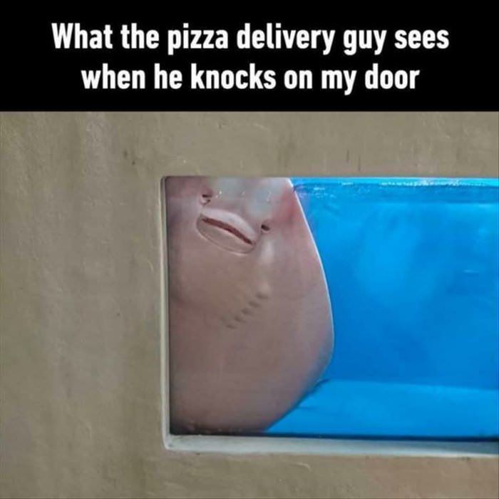 the pizza delivery guy