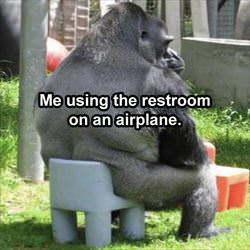 the restroom on the airplane